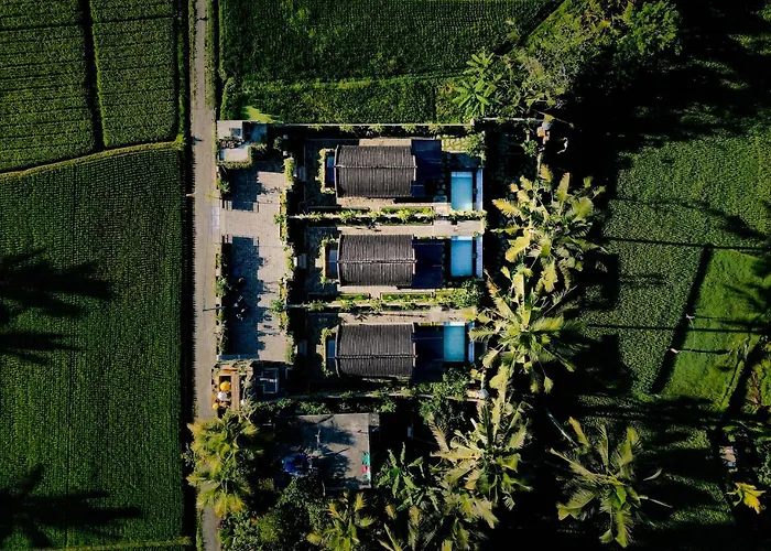 Alvia Joglo House & Private Pool ロッジ Tampaksiring